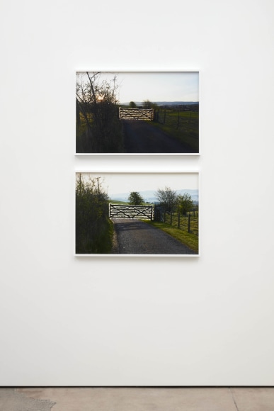 Andy Goldsworthy, Recent Works 2020, 2020