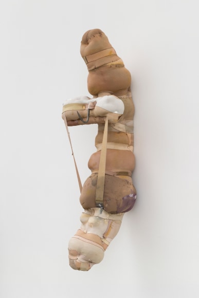 Patricia Ayres 1-14-19-7-1-18, 2024