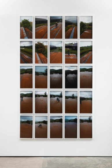 Andy Goldsworthy, Recent Works 2020, 2020