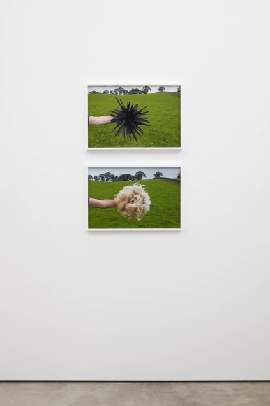 Andy Goldsworthy, Recent Works 2020, 2020