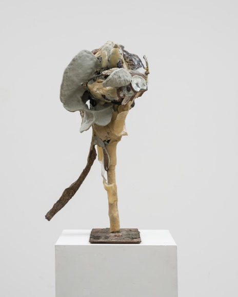 KLOSKLAS_Ovo_Midiv_Dak_Et_Madelg_(Oenopion), 2021, Detail