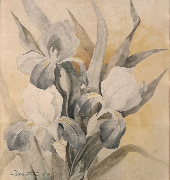 charles demuth, Iris, 1918 watercolor on paper 8 3/4 x 8 1/8 inches