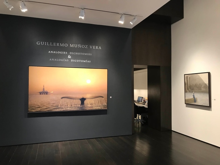 installation photo: Guillermo Munoz Vera, Analogies + Dichotomies, Forum Gallery, New York, NY, April 12 &ndash; May 25, 2018