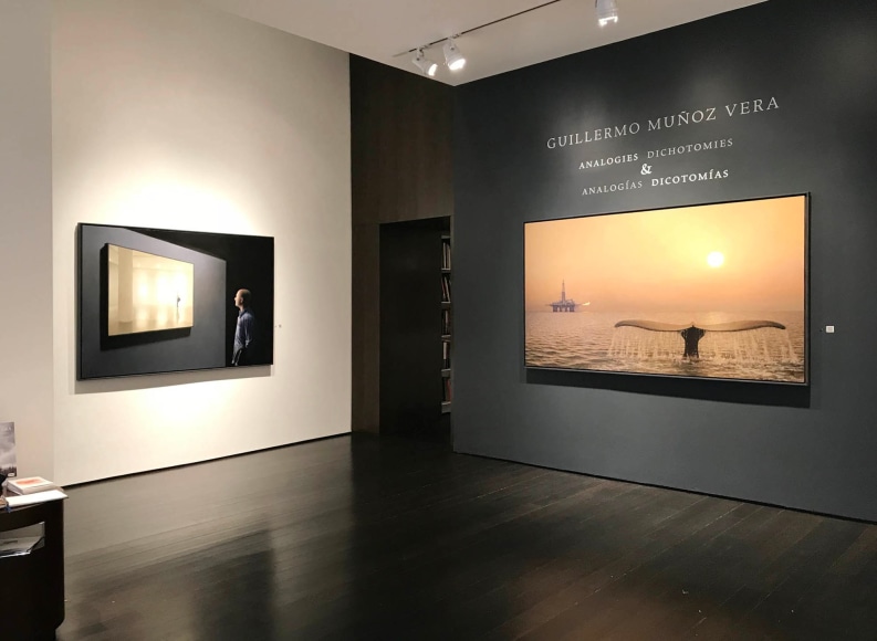 installation photo: Guillermo Munoz Vera, Analogies + Dichotomies, Forum Gallery, New York, NY, April 12 &ndash; May 25, 2018