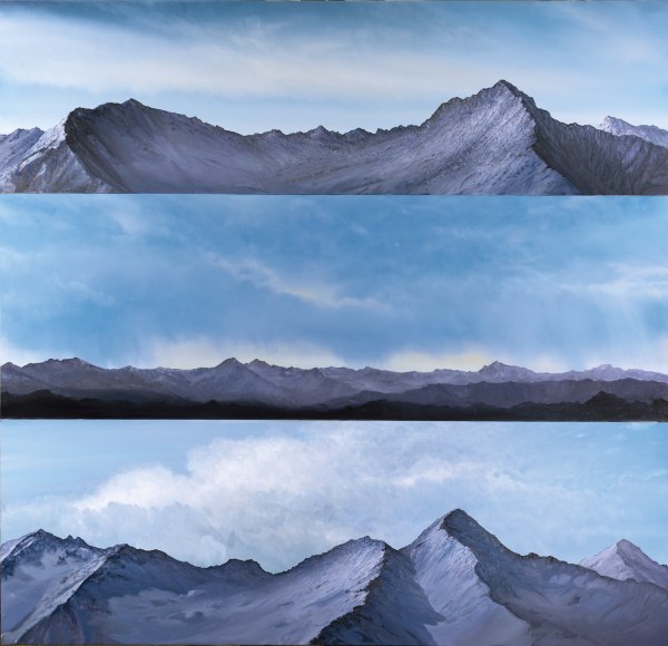 tula telfair, Intimacy Gradient II, 2011, oil on three canvases, 80 x 84 inches