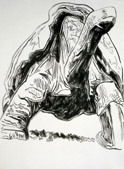  Vanishing Animals: Galapagos Tortoise, 1986