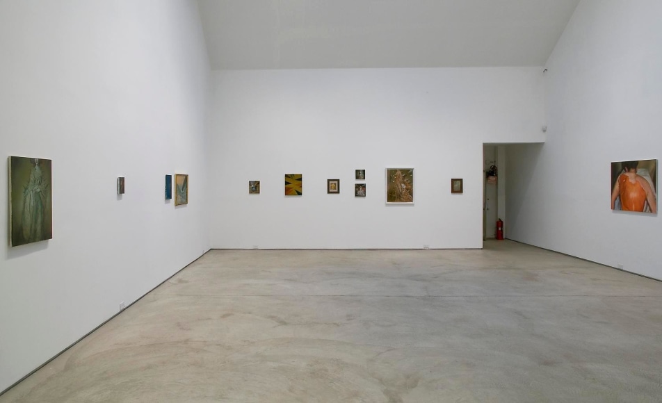 Installation view, Ross Chisholm, Fin, Marc Jancou, New York, June 18 - July 31, 2009