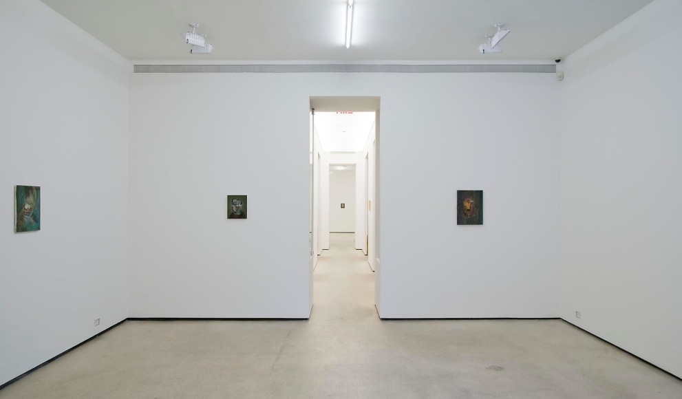 Installation view, Ross Chisholm, Garden of Forking Paths, Marc Jancou, New York, September 8 - October 22, 2011