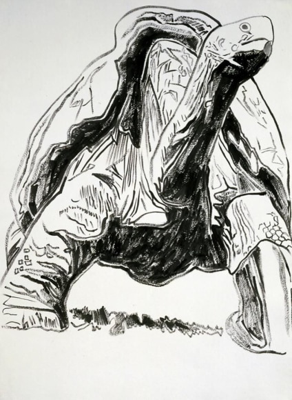Vanishing Animals: Galapagos Tortoise, 1986, Synthetic polymer paint on HMP Paper, 78.7 x 60.3 cm