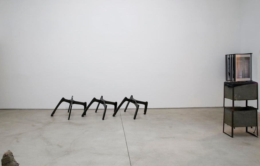 Installation view, Careerists and Visionaries, Marc Jancou, New York, August 7 - September 3, 2009