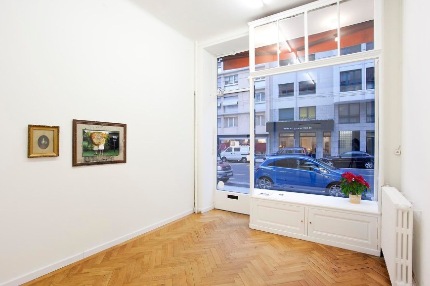  Installation view, Ross Chisholm, The Garden, Marc Jancou, Geneva, January 19 - March 10, 2012
