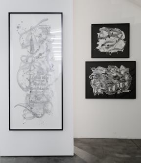 Installation view, In Geneva No One Can Hear You Scream, Blondeau & Cie, Geneva, March 13 - April 26, 2008