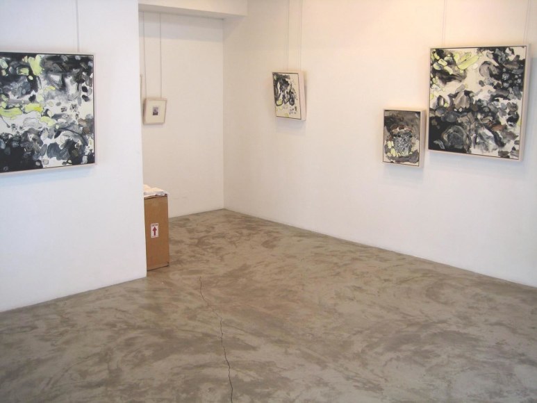  Installation View, Me.di.um, St. Barthelemy, 2007