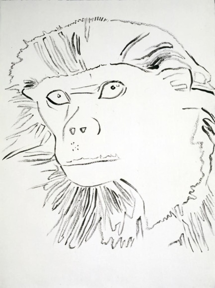 Vanishing Animals: Douc Langur, 1986, Synthetic polymer paint on HMP Paper, 79.7 x 60.01 cm