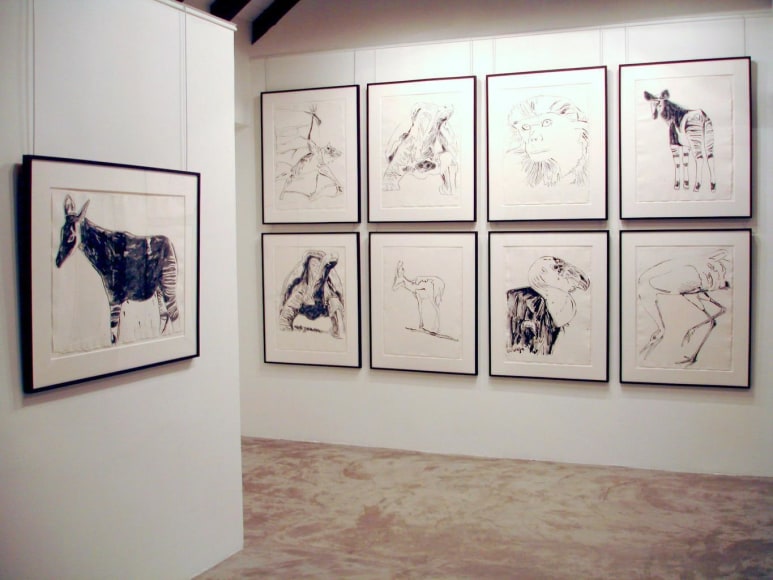 Me.di.um Saint Barth&eacute;lemy: Vanishing Animals