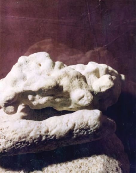 Me.di.um Saint Barth&eacute;lemy: Roe Ethridge