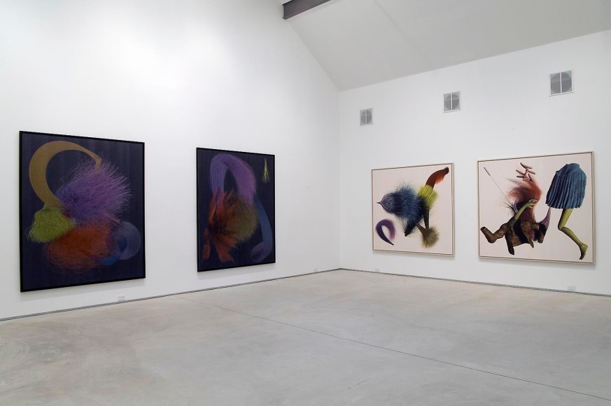 Installation view, Tim Berresheim, Scheuche (Mild), Marc Jancou, New York, February 7 - March 29, 2008