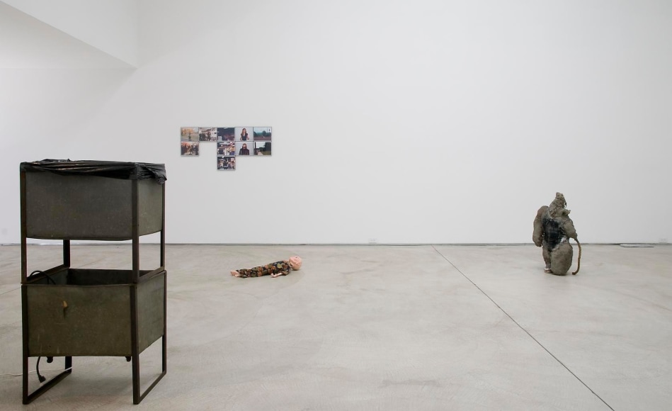 Installation view, Careerists and Visionaries, Marc Jancou, New York, August 7 - September 3, 2009
