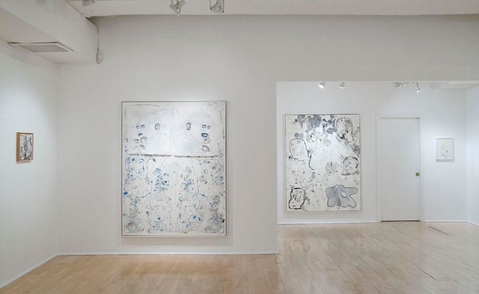 Installation view, Carter, Some Feelings, 1984, 1970, Marc Jancou, New York, May 11 - June 29, 2013