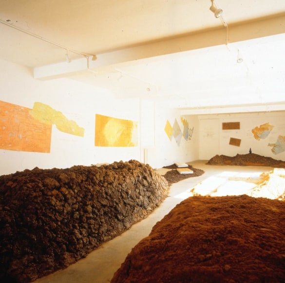  Installation View, Peter Fend: Eurasian Scenario, London Projects, April 20- May 21, 1994