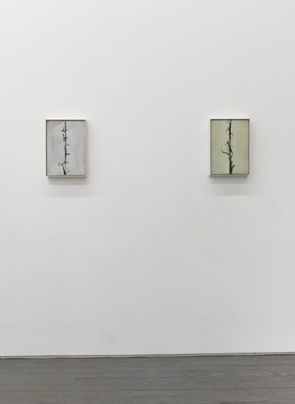 Albrecht Schnider: Instant Phenomenon