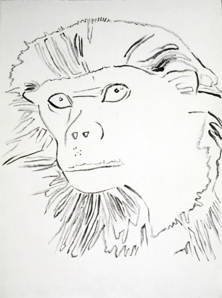  Vanishing Animals: Douc Langur, 1986