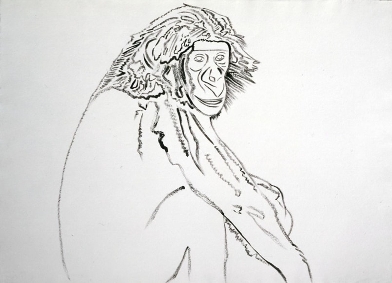  Vanishing Animals: Chimp, 1986