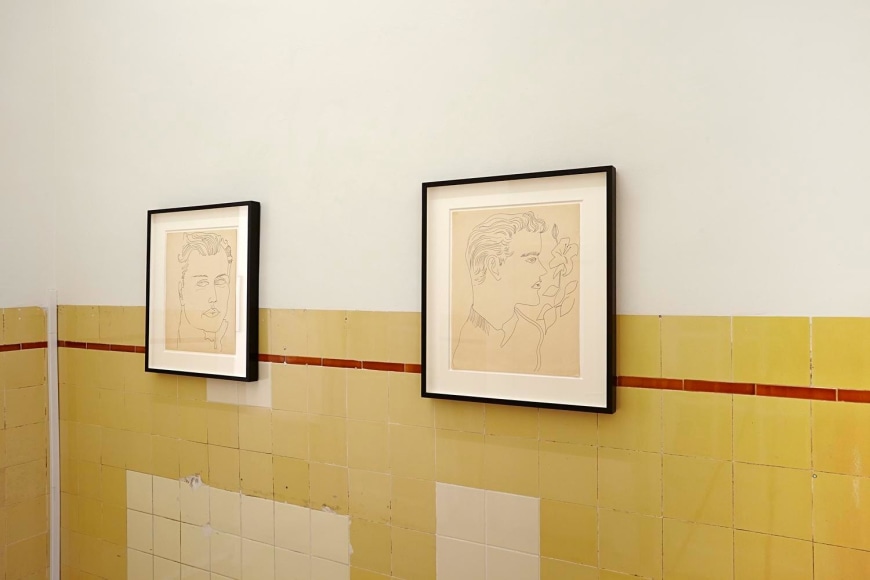 Andy Warhol: 1950s Drawings, 	Installation