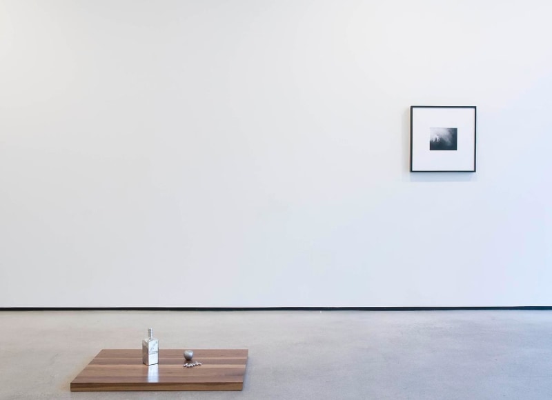 Installation view, Stephanie Taylor, Pork Shank Stew, Marc Jancou, New York October 28 - December 4, 2010