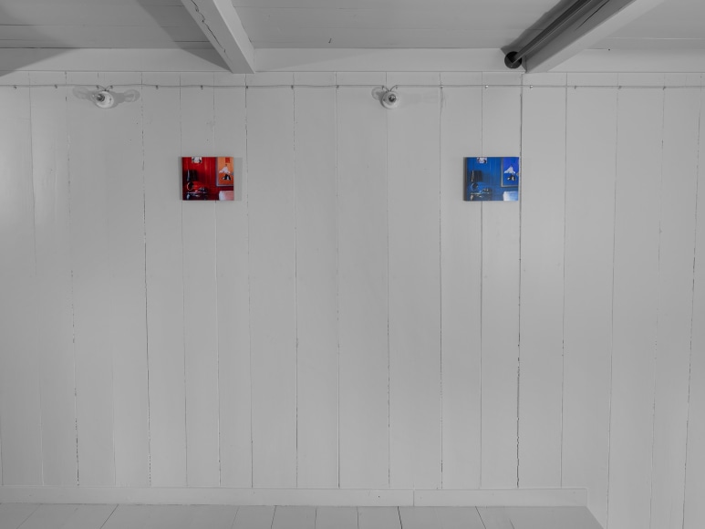 Installation view, Louise Lawler: Is Anybody Home