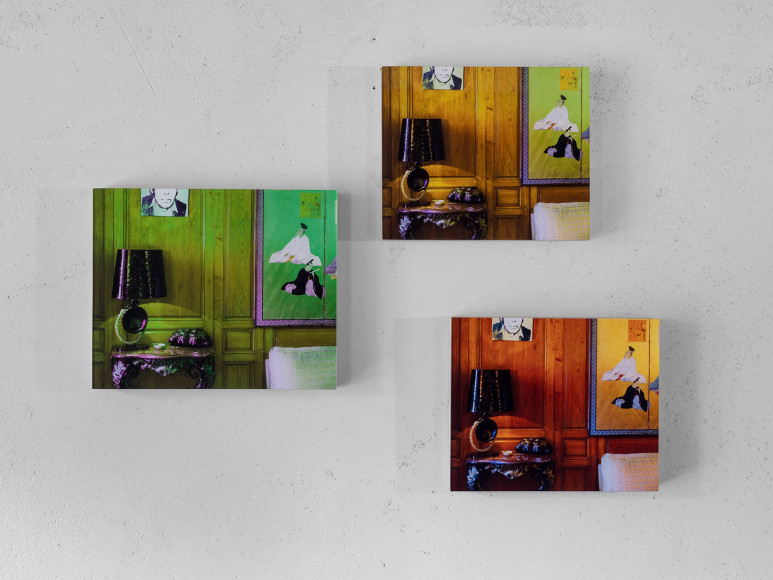 Installation view, Louise Lawler: Is Anybody Home