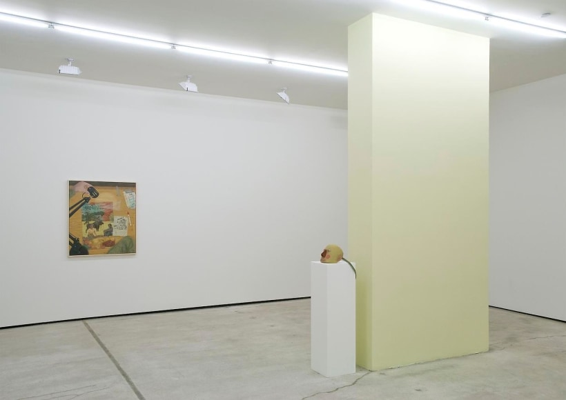  Installation view, Michael Cline, Arcadia, Marc Jancou, New York, March 18 - April 23, 2011