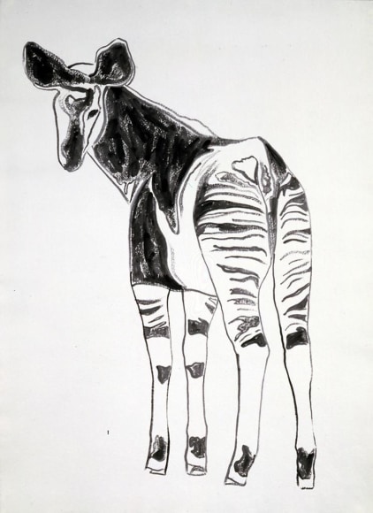  Vanishing Animals: Okapi, 1986