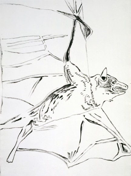  Vanishing Animals: Bat, 1986