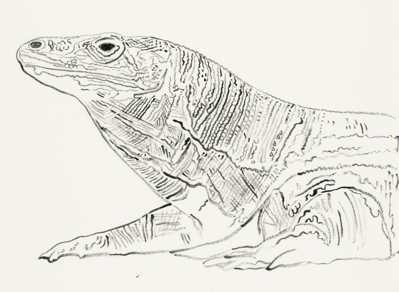 Vanishing Animals: Komodo Monitor, 1986, Synthetic polymer paint on HMP Paper, 60.0 x 79.7 cm