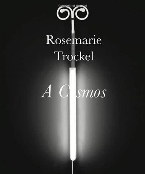 Rosemarie Trockel: A Cosmos