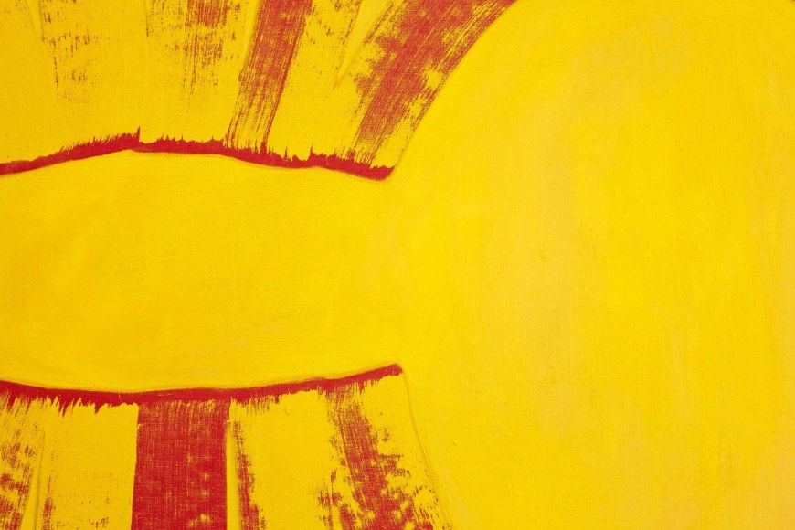 MICHAEL BAUCH, 	UNTITLED (detail), 2014 