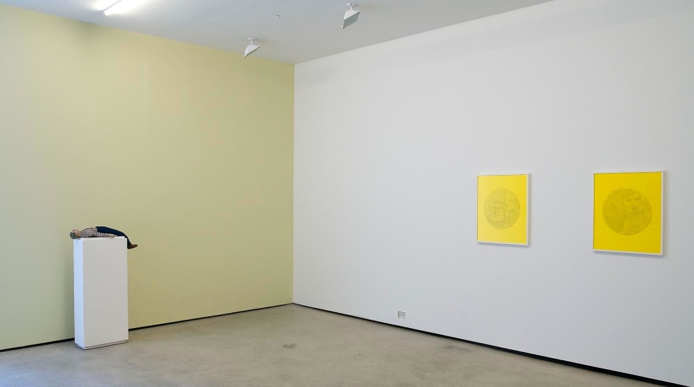  Installation view, Michael Cline, Arcadia, Marc Jancou, New York, March 18 - April 23, 2011