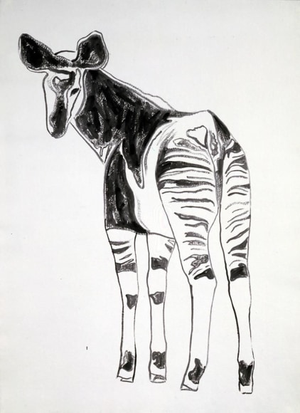 Vanishing Animals: Okapi, 1986, Synthetic polymer paint on HMP Paper, 80.3 x 60.5 cm 31