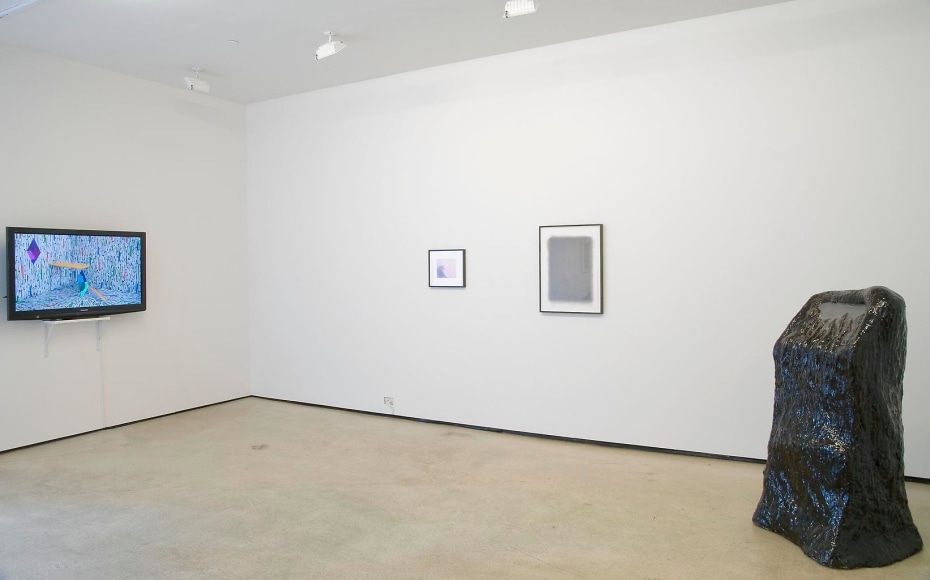  Installtion view, I Know This But You Feel Different, Marc Jancou, New York, March 9 - April 14, 2012