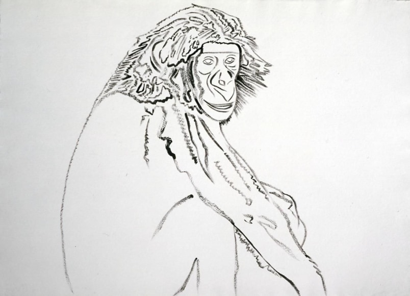 Vanishing Animals: Chimp, 1986, Synthetic polymer paint on HMP Paper, 59.7 x 80.0 cm