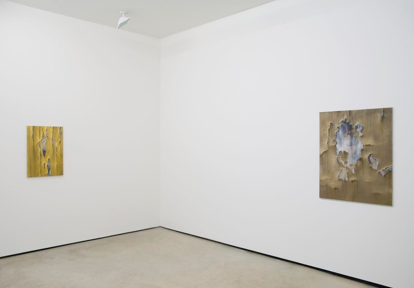 Installation view, Slawomir Elsner, Collecting Images, Marc Jancou, New York, June 7 - July 29, 2011