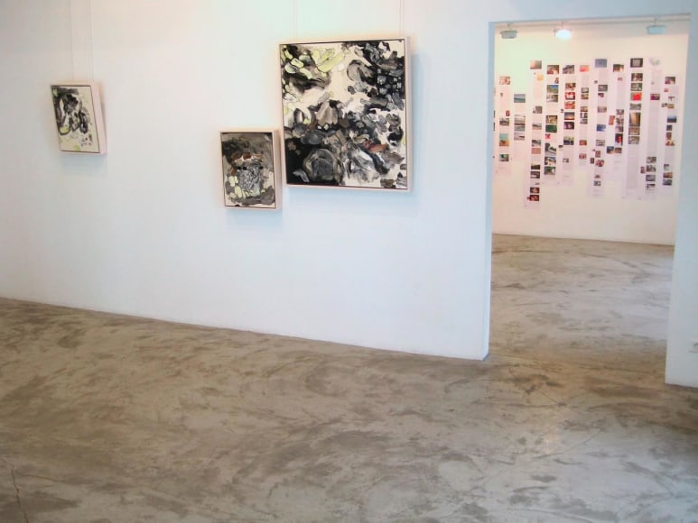  Installation View, Me.di.um, St. Barthelemy, 2007