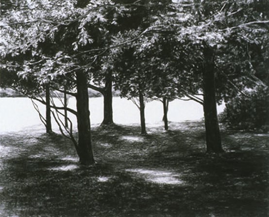 April Gornik, Glade, 1999