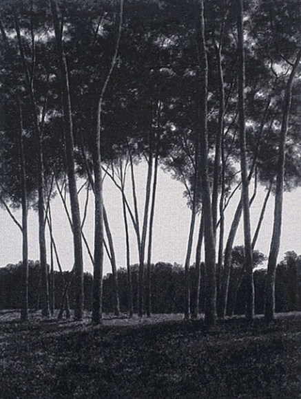 April Gornik, Bower, 2006