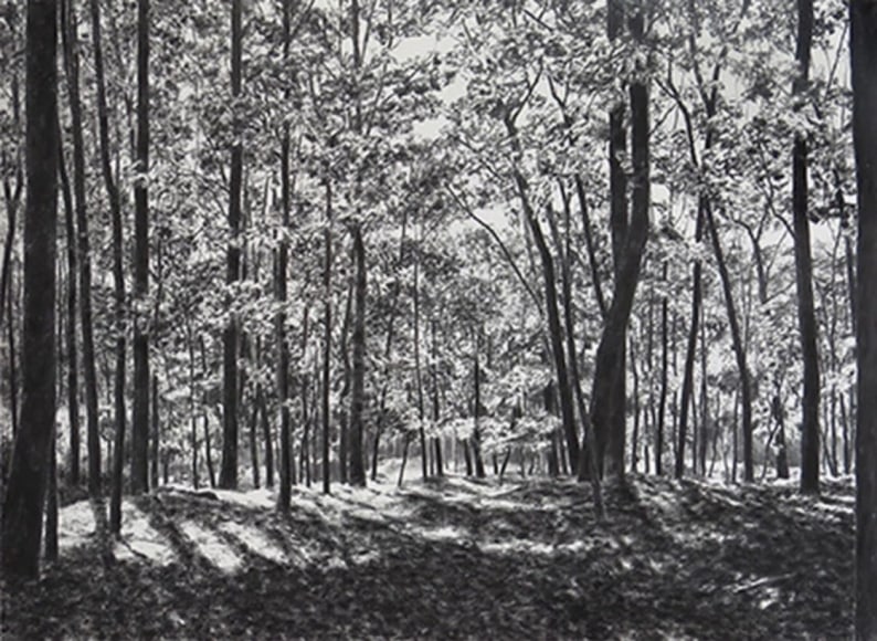 April Gornik, Light Falling Through Trees, 2014