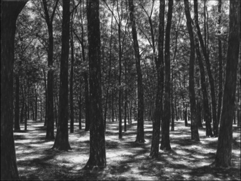 April Gornik, The Woods, 2006