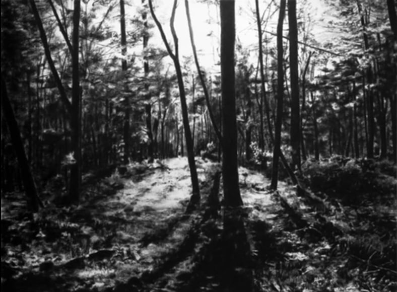 April Gornik, Through the Woods, 2009