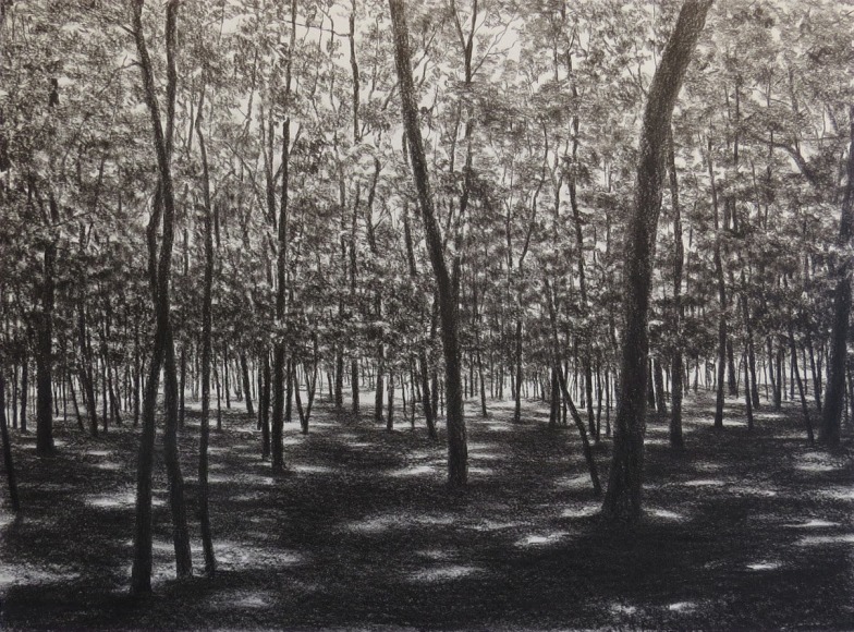 April Gornik, Forest Light, 2014