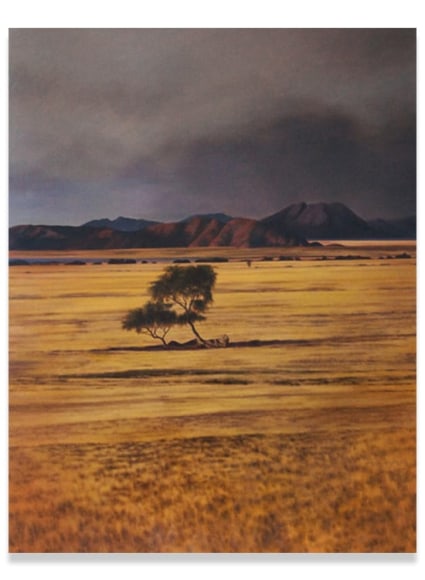 April Gornik, The Cheetah's Eye, 2007